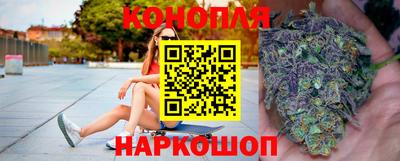 дмт Будённовск