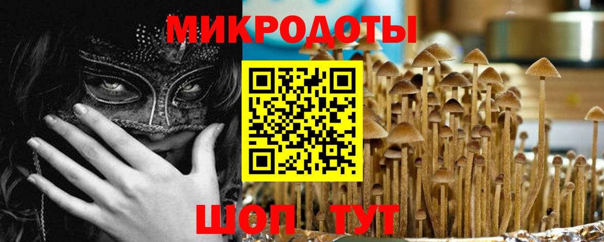 Новосибирск  Галлюциногенные грибы Magic Shrooms  Вход с VPN 