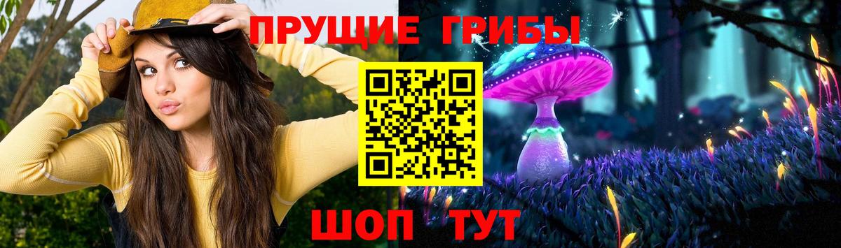Псилоцибиновые грибы GOLDEN TEACHER Новосибирск